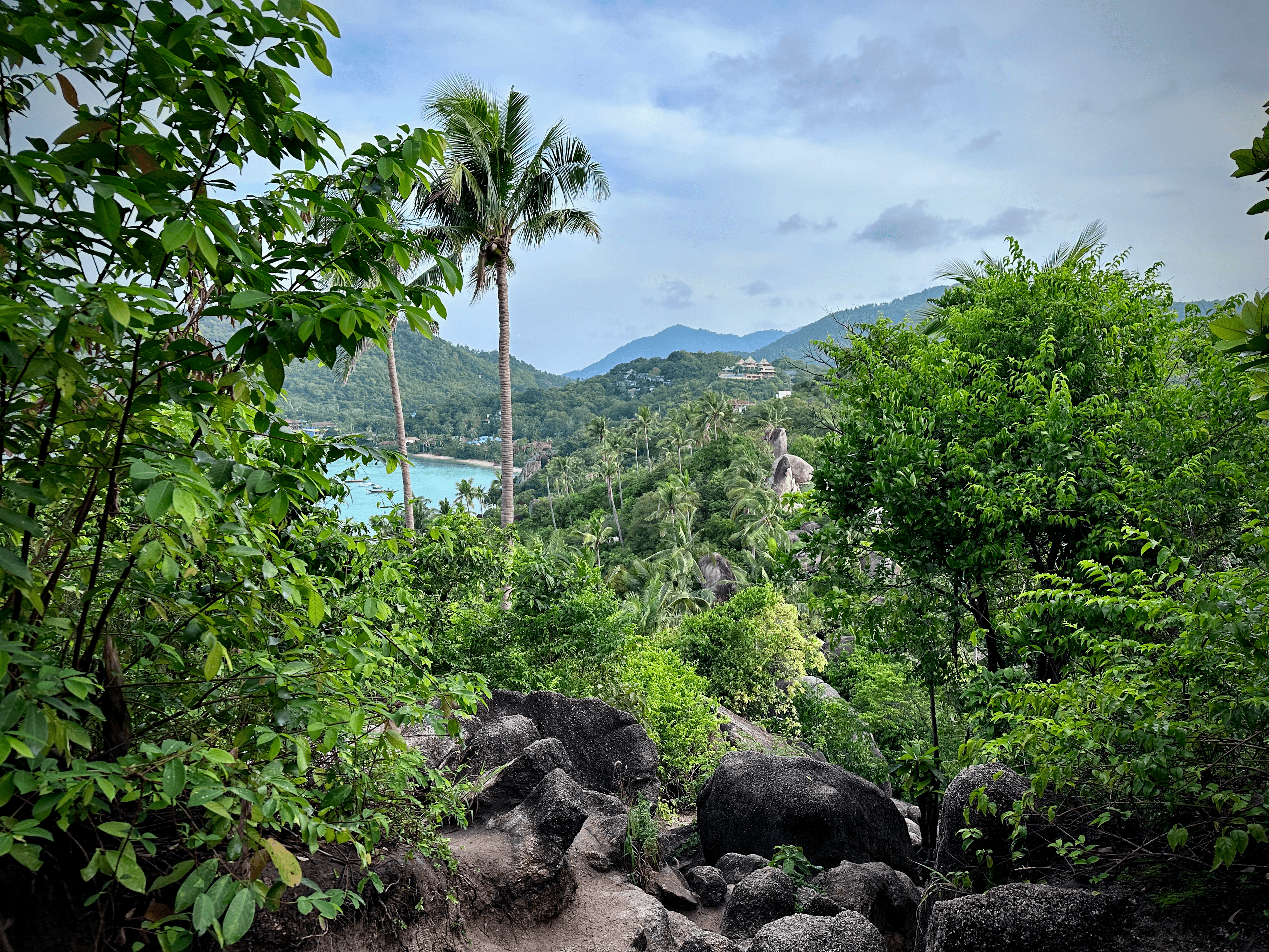 View from the top of John Suwan viewpoint on Koh Tao, Thailand