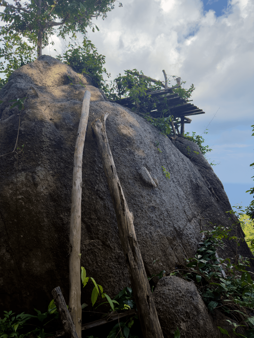 Two branches of a tree forming a ladder to climb Grandfather Rock on Koh Tao, Thailand